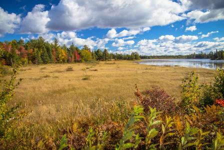 Estuary Resources thinkstockphotos-492803636.jpg