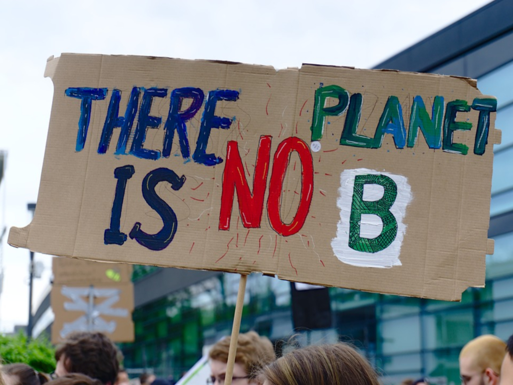 image of a climat protest sign saying there is no planet b