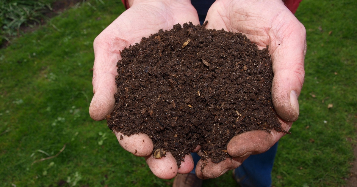 All About Using Compost for the Lawn
