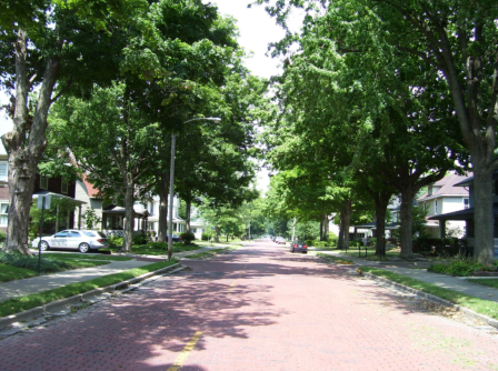 Goshen, Indiana Improves Ecosystem Resilience with Tree Canopy Inventory and Assessment