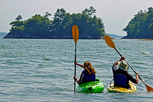 Two kayakers in an estuary. padding_kayaks.jpg