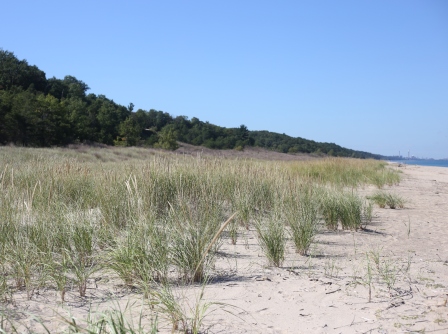 Experts in Northwest Indiana Create an Adaptation Plan to Protect the Indiana Dunes