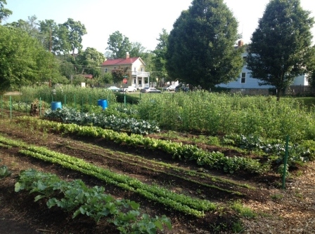 Cincinnati, Ohio Amends Zoning Code to Support Urban Agriculture