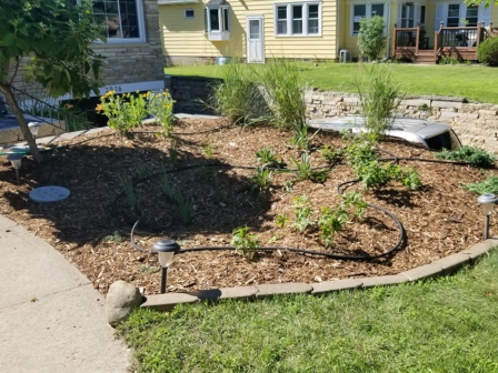 The City of St. Louis Park, Minnesota Increases Green Infrastructure on Residential Properties