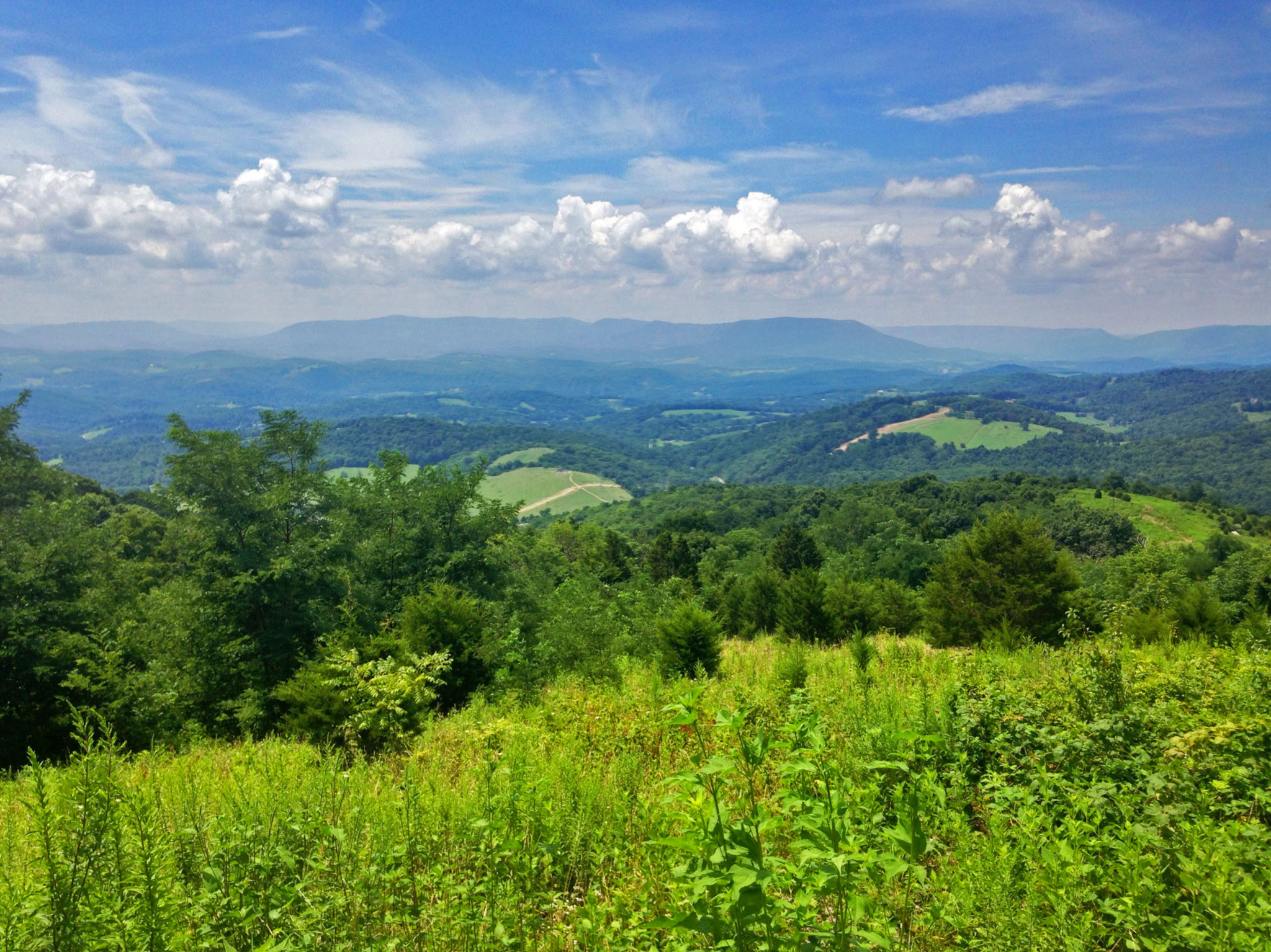 Green, rolling hills