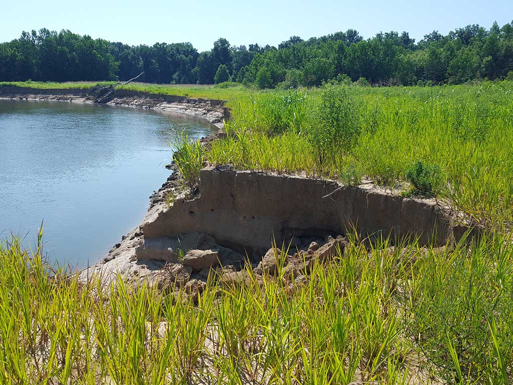 A riverbank that is eroding, showing bare soil