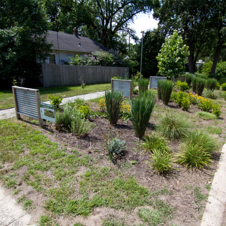 A green infrastructure plot in Gary, Indiana