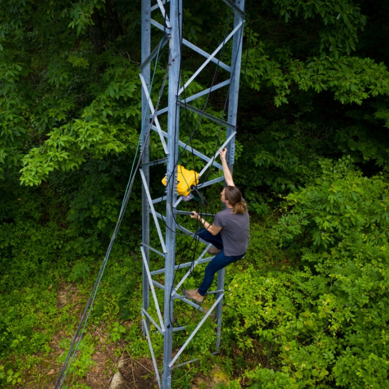 A researcher climbing a MOTUS tower
