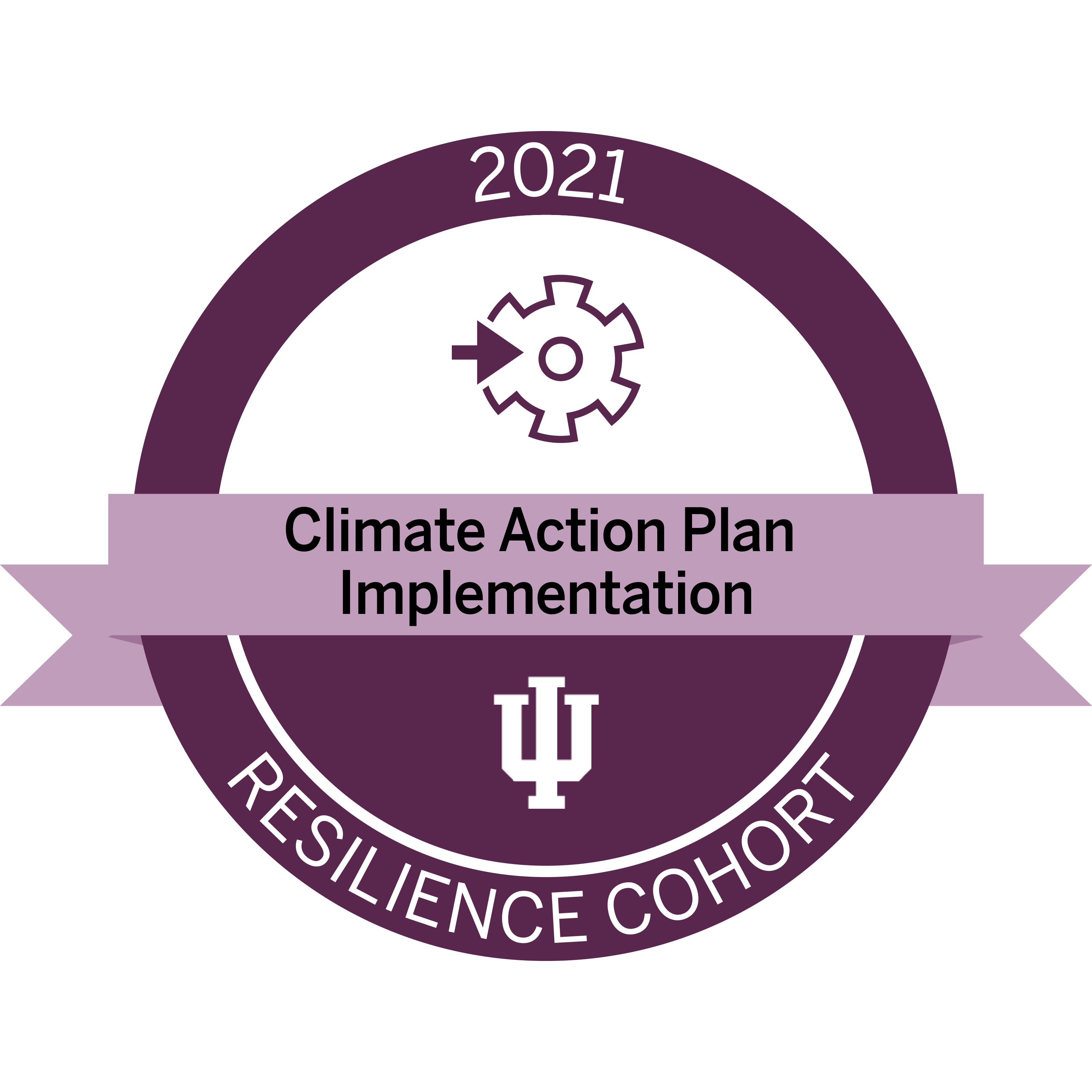 resilience-cohort-capi-2021badge.png