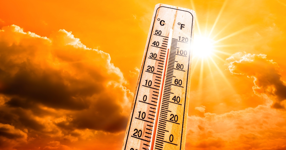 beat-the-heat-local-governments-who-we-work-with-environmental